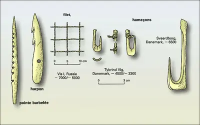 Pagaies mésolithiques - crédits : Encyclopædia Universalis France