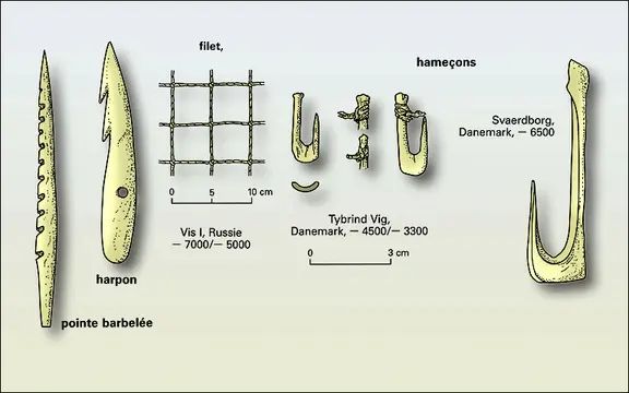 Pagaies mésolithiques