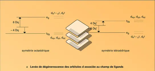 Composés du manganèse - crédits : Encyclopædia Universalis France