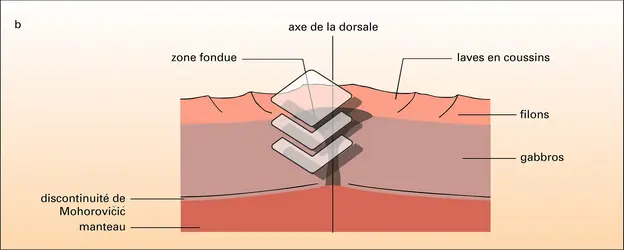 Chambre magmatique de la dorsale du Pacifique est - crédits : Encyclopædia Universalis France