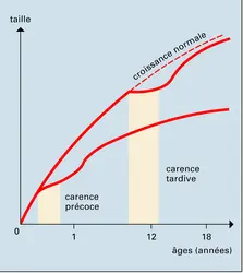 Carence - crédits : Encyclopædia Universalis France