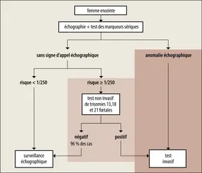 Arbre de décision pour le diagnostic de la trisomie 21 - crédits : Encyclopædia Universalis France