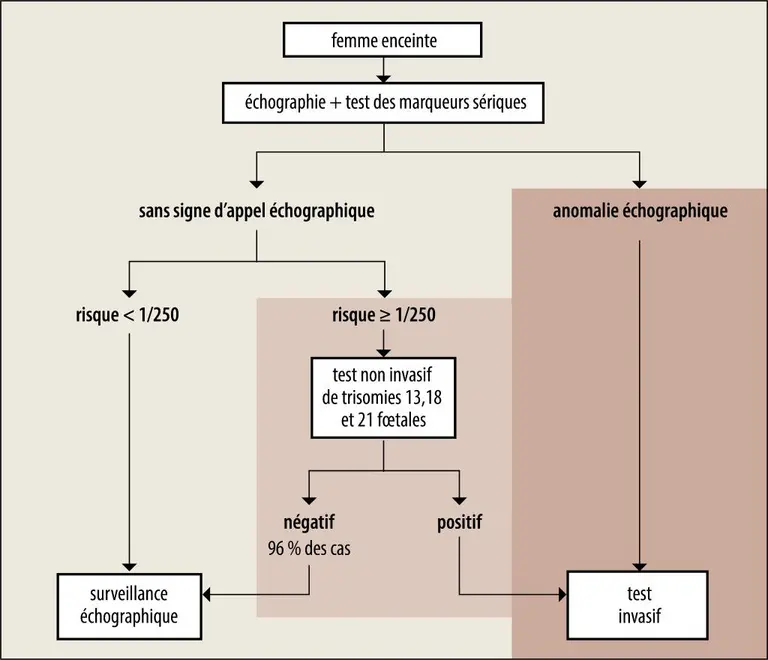 Arbre de décision pour le diagnostic de la trisomie 21