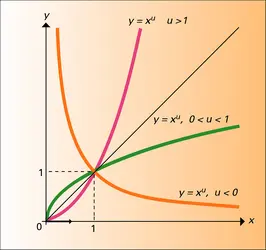 Fonctions puissances - crédits : Encyclopædia Universalis France