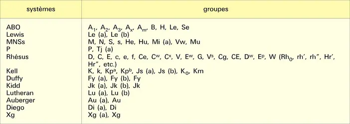 Groupes sanguins - crédits : Encyclopædia Universalis France