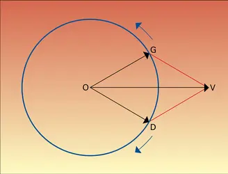 Vibrations rectiligne et circulaires de sens inverse - crédits : Encyclopædia Universalis France