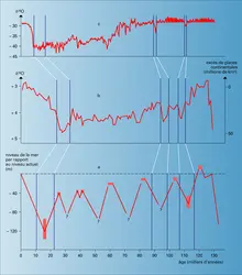 Variations du niveau de la mer - crédits : Encyclopædia Universalis France