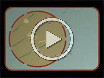 Transcription de l'ADN en ARN - crédits : Planeta Actimedia S.A.© Encyclopædia Universalis France pour la version française.