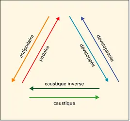 Relations entre podaire et antipodaire, développante et développée, et caustique et caustique inverse - crédits : Encyclopædia Universalis France