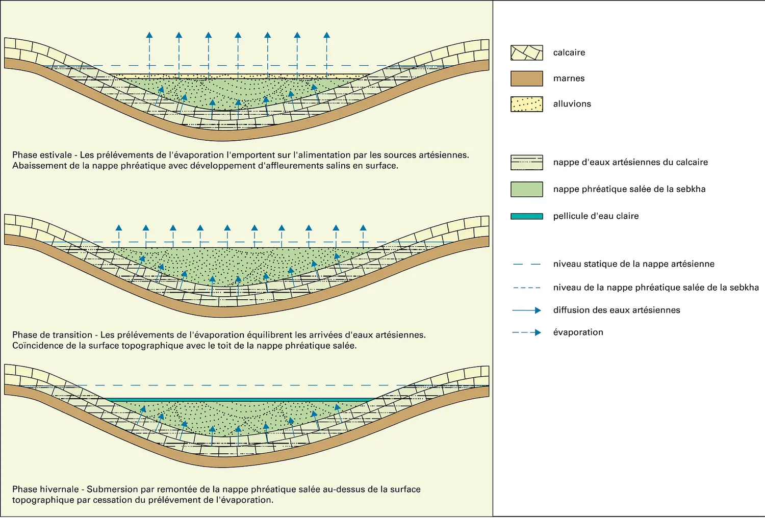 Hydrologie superficielle d'une sebkha