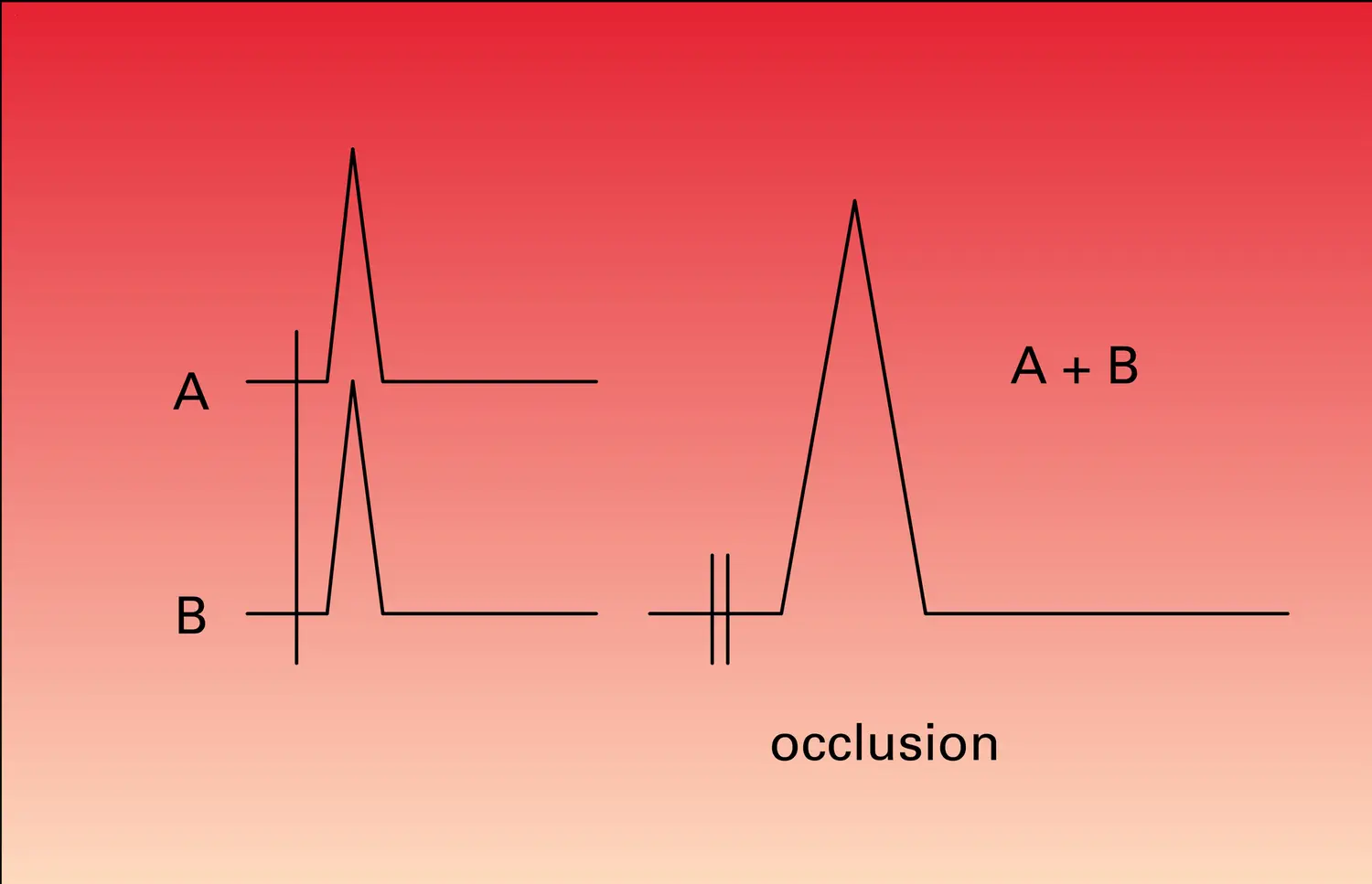 Convergence, facilitation et occlusion - vue 3