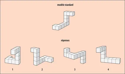 Exemple du type de problème rencontré dans les épreuves de rotation mentale - crédits : Encyclopædia Universalis France