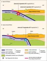 Coupes expliquant les séismes du Mexique de 2017 - crédits : Encyclopædia Universalis France