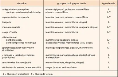 Compétences cognitives étudiées chez les animaux - crédits : Encyclopædia Universalis France