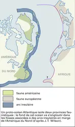 Région nord-atlantique au Paléozoïque inférieur - crédits : Encyclopædia Universalis France