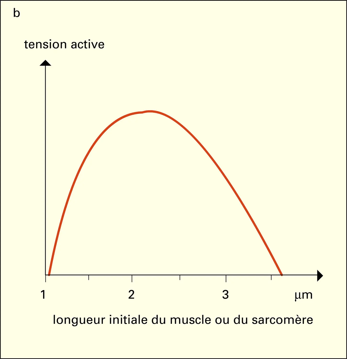 Données biochimiques - vue 2