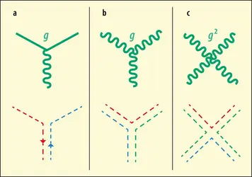 Couplages élémentaires de la chromodynamique quantique - crédits : Encyclopædia Universalis France