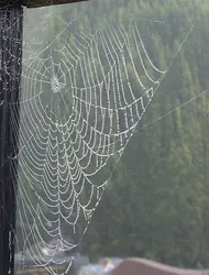 Condensation de la vapeur d’eau - crédits : Y. Gautier