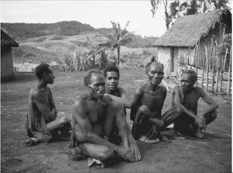 Groupe de Fore de Nouvelle-Guinée - crédits : John D Mathews, Phil. Trans. R. Soc. B. 2008, 363 3679-3684, © 2008 The Royal Society