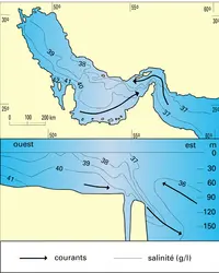 Drainage quaternaire de la mer de la Sonde - crédits : Encyclopædia Universalis France