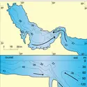 Drainage quaternaire de la mer de la Sonde - crédits : Encyclopædia Universalis France