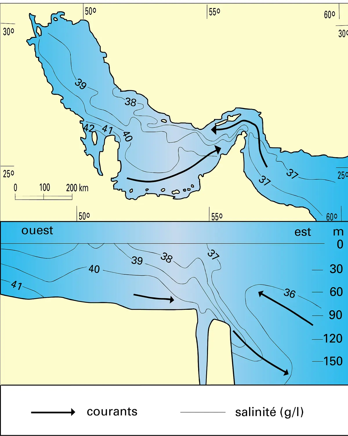 Drainage quaternaire de la mer de la Sonde