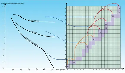 Formation des éléments chimiques : diagrammes - crédits : Encyclopædia Universalis France