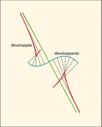 Développée d'une courbe - crédits : Encyclopædia Universalis France