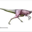 Ornithomimus - crédits : Encyclopædia Universalis France