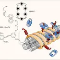 Assemblage supramoléculaire - crédits : Encyclopædia Universalis France