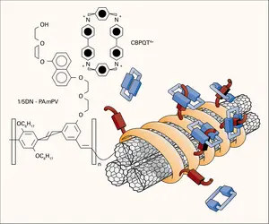 Assemblage supramoléculaire - crédits : Encyclopædia Universalis France