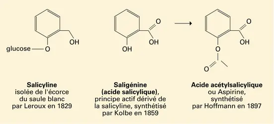 Filiation de l'aspirine - crédits : Encyclopædia Universalis France