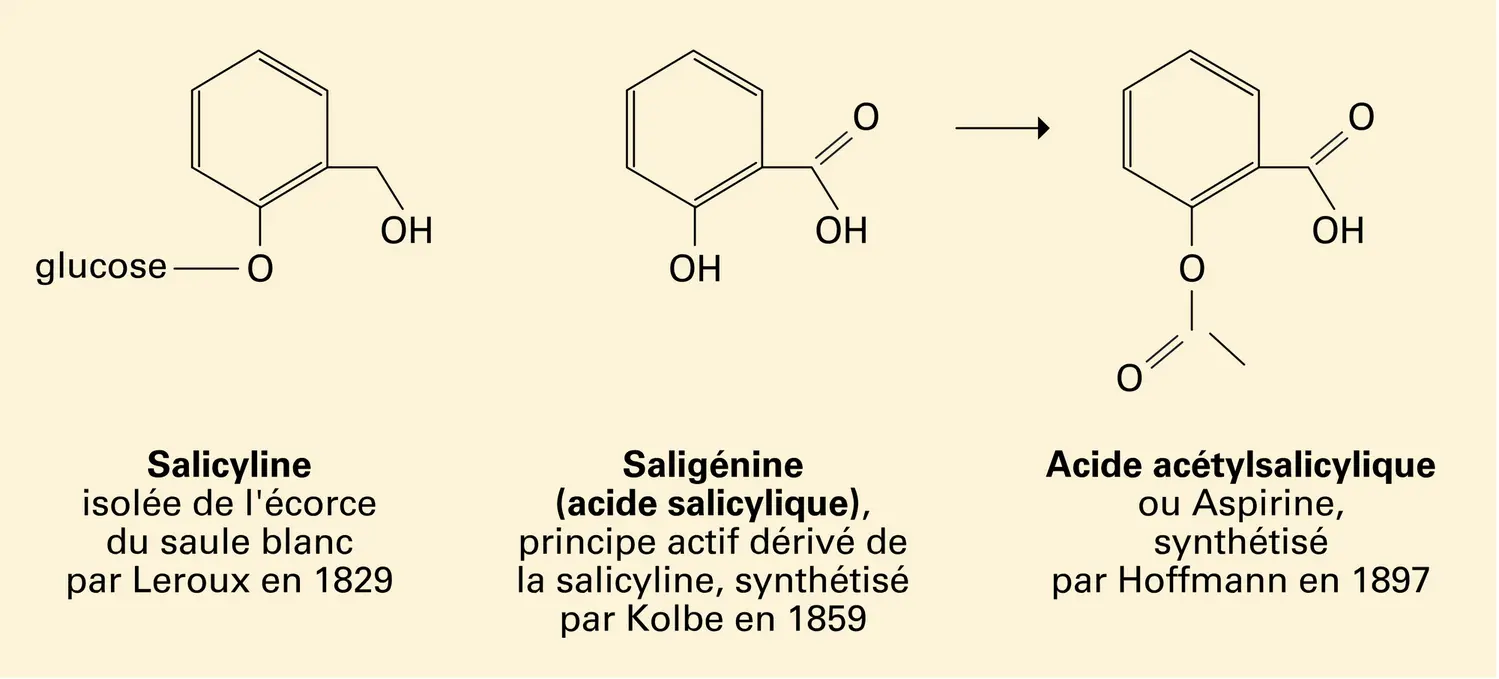 Filiation de l'aspirine