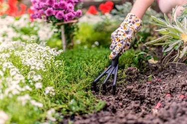 Jardinage - crédits : Ljubaphoto/ E+/ Getty Images