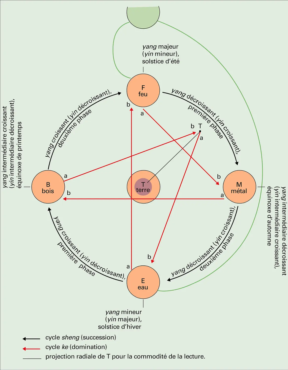 Wu xing : cycle de succession