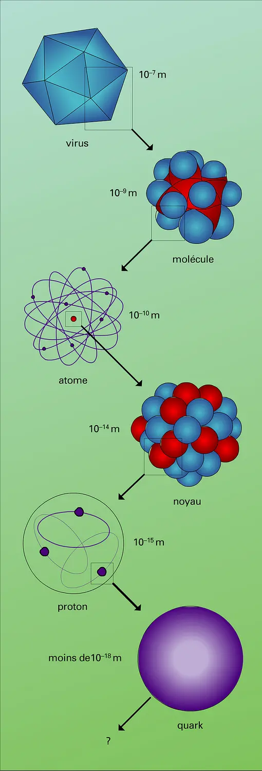 Niveaux de structure