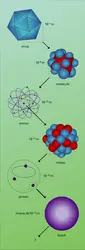 Niveaux de structure - crédits : Encyclopædia Universalis France