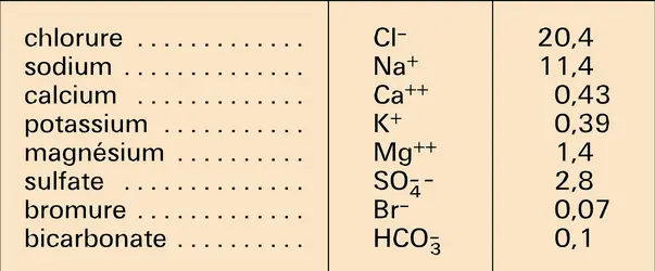 Eau en Méditerranée : composition - crédits : Encyclopædia Universalis France