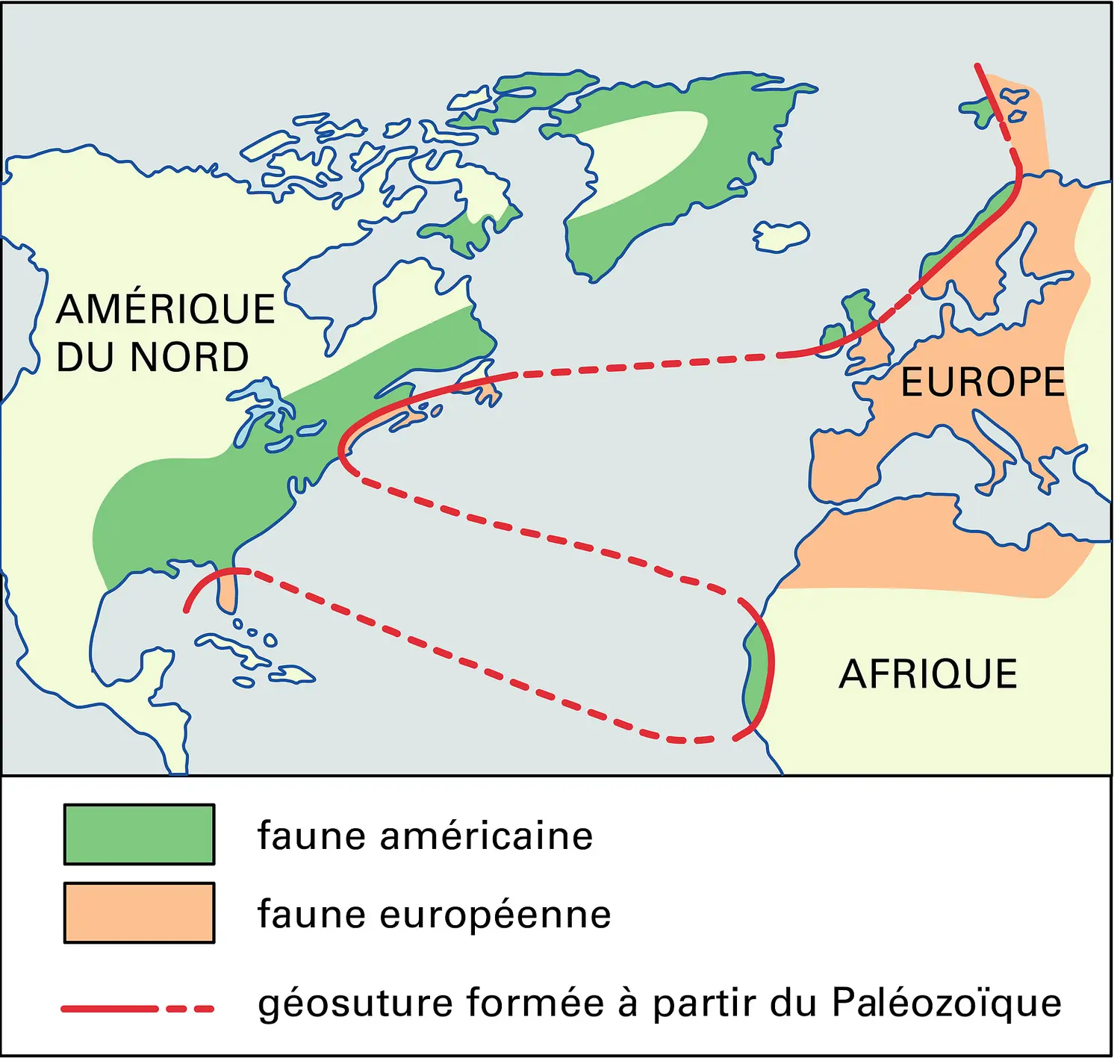 Répartition des deux faunes cambriennes de part et d'autre de l'Atlantique actuel