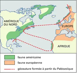 Répartition des deux faunes cambriennes de part et d'autre de l'Atlantique actuel - crédits : Encyclopædia Universalis France
