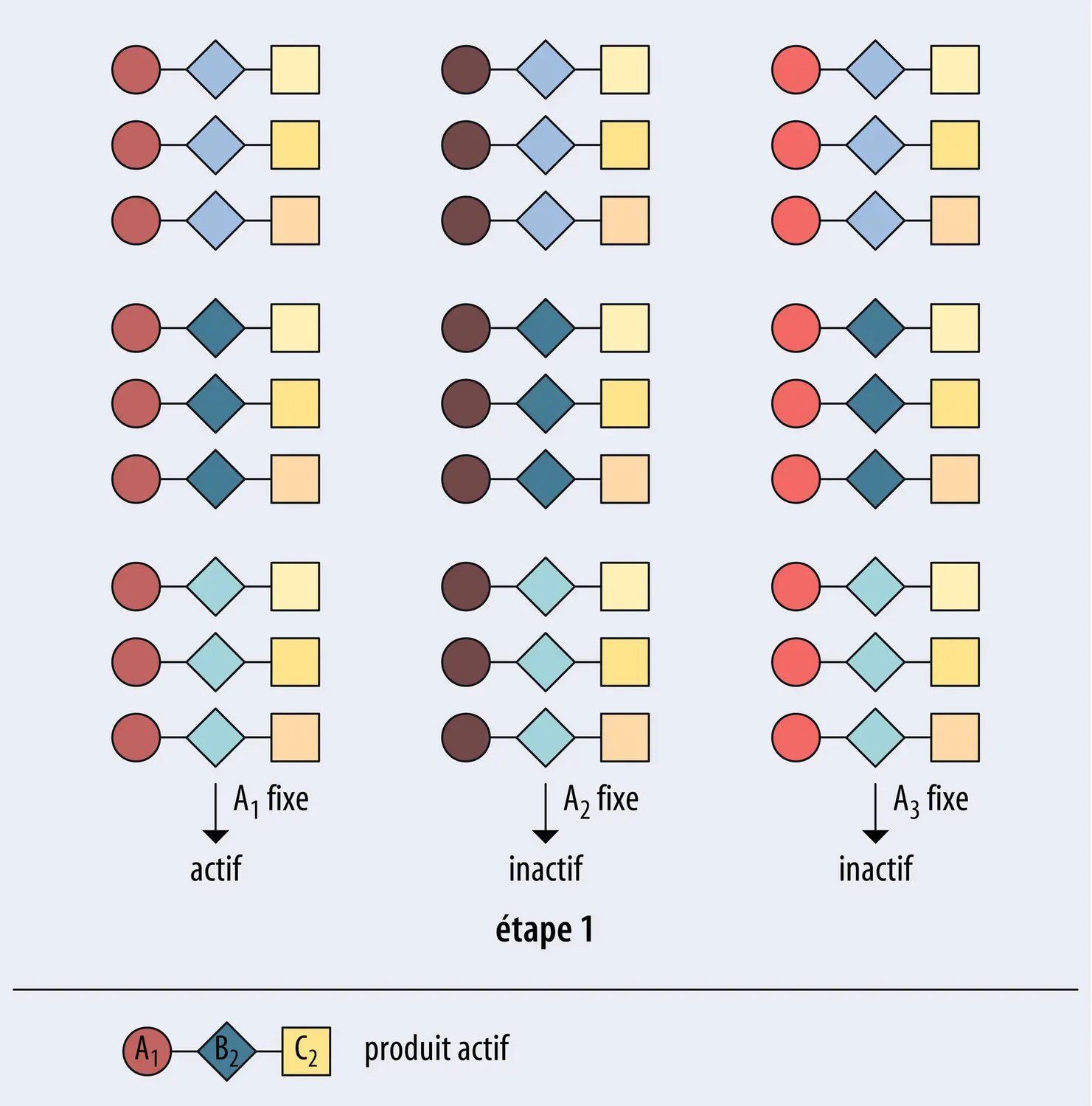 Chimie combinatoire : déconvolution itérative - vue 1