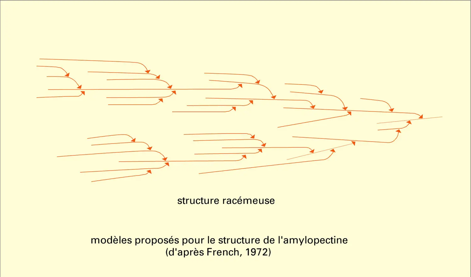 Amidon : structure des molécules - vue 3