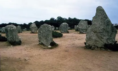 Menhirs de Carnac - crédits : Index/  Bridgeman Images 