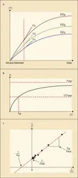 Cinétiques michaéliennes - crédits : Encyclopædia Universalis France