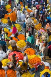 Marché aux fleurs de Calcutta, Inde - crédits : Peter Adams/ The Image Bank/ Getty Images