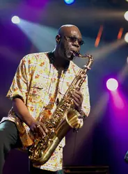 Manu Dibango - crédits : Rodger Bosch/ AFP 