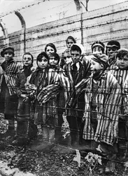 Enfants à Auschwitz - crédits : Alexander Vorontsov/ Keystone/ Hulton Archive/ Getty Images