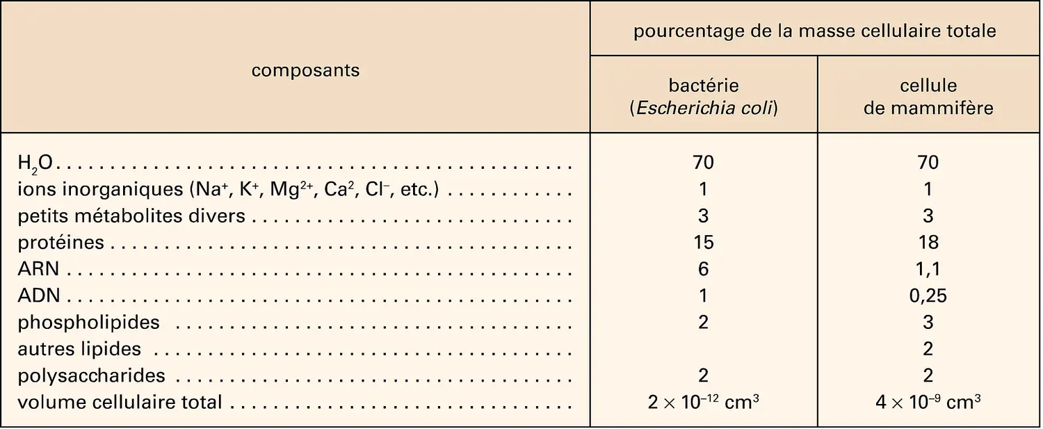 Bactérie et cellule de mammifère : compositions chimiques