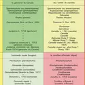 Classement d'espèces et variétés - crédits : Encyclopædia Universalis France
