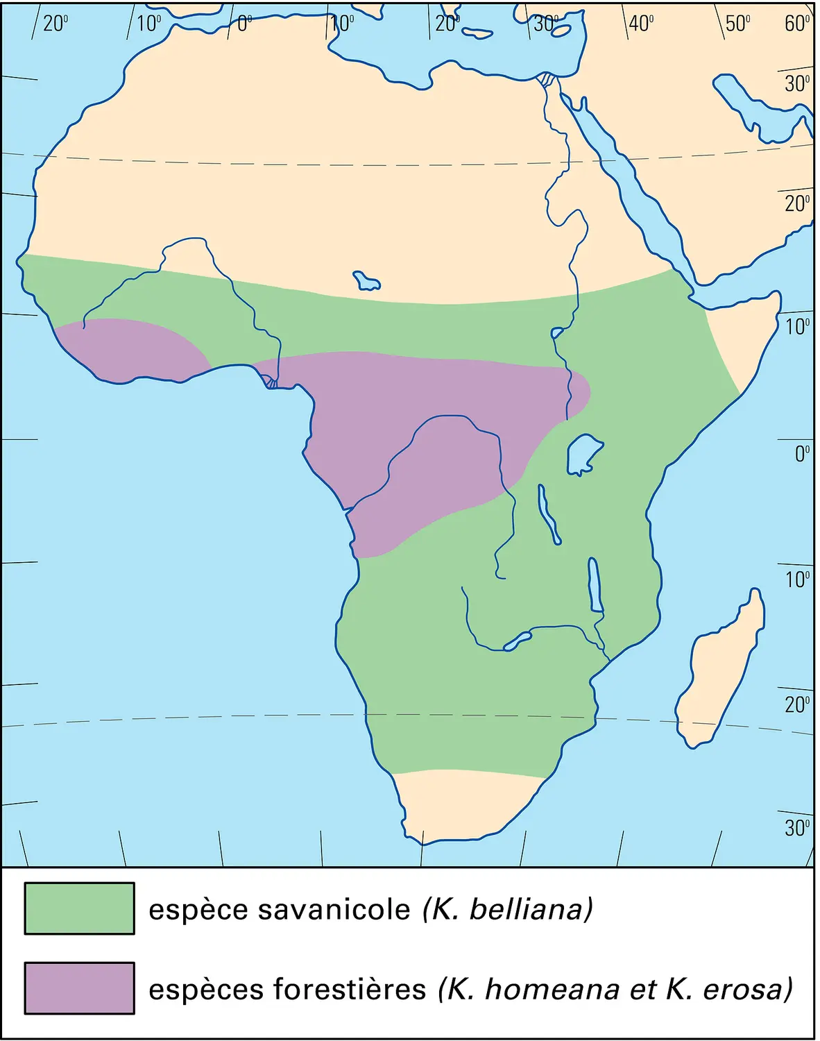 Afrique : illustration de l'opposition forêt-savane